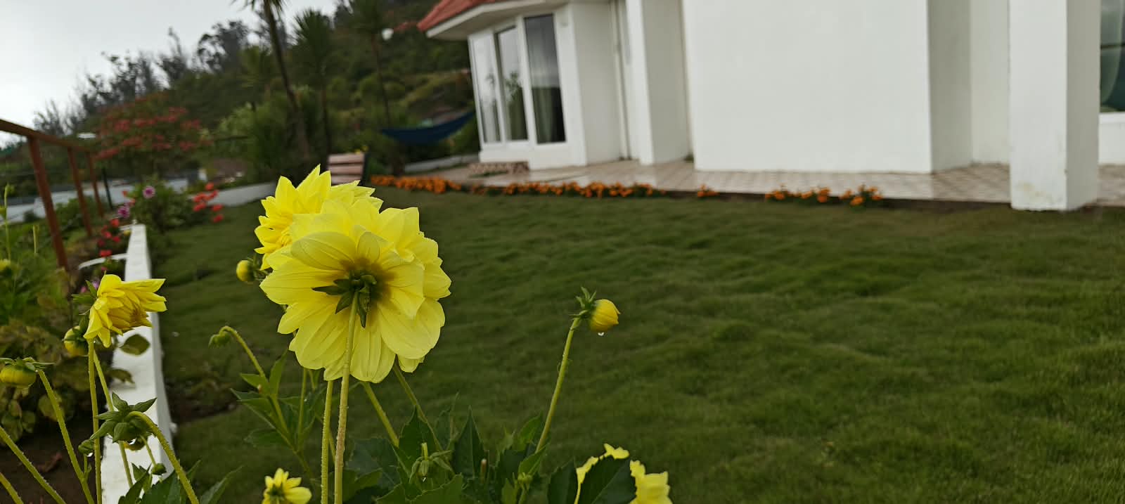 Villa Verde, Elk Hill (photo 2)