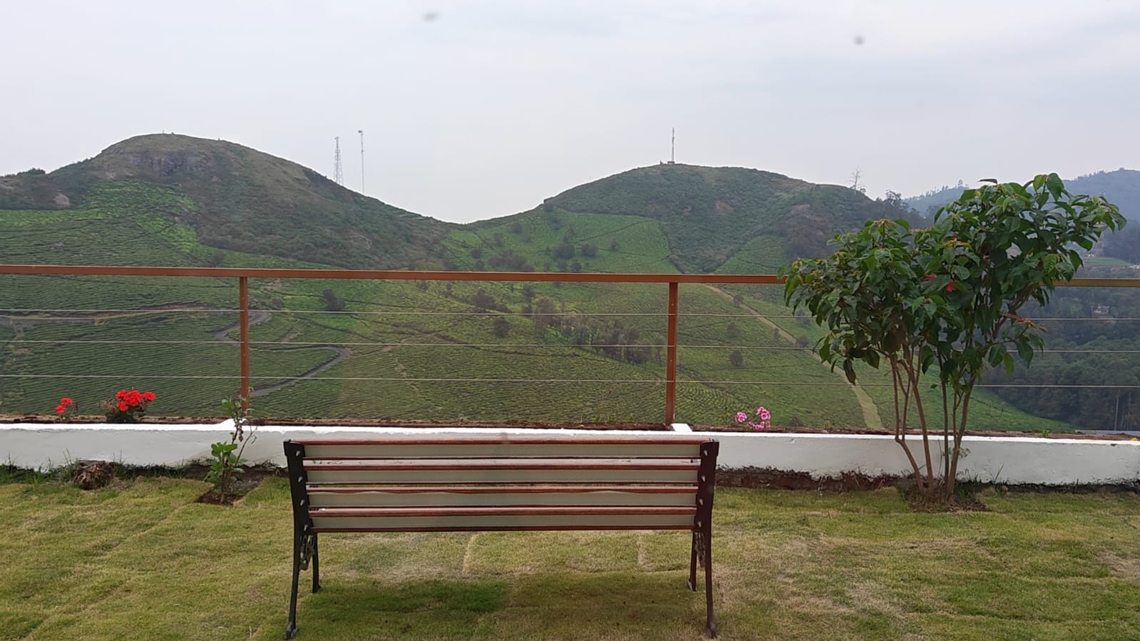 A bench on the lawn facing the tea garden hills across a low wire fence