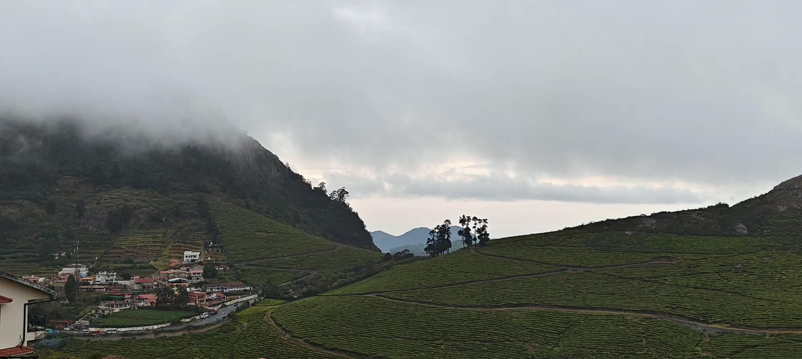 Layers of tea garden hills fading into the distance, seen from the property