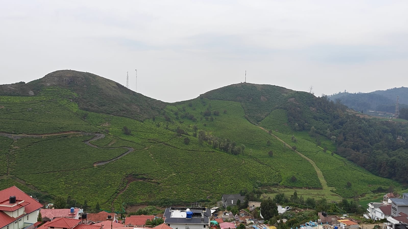 Tea gardens covering the hills south of the property, a road winding through them and rooftops below